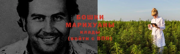 трава Гусев