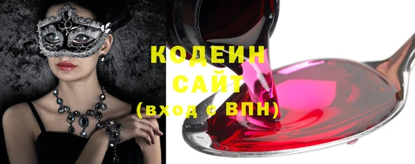 амф Гусь-Хрустальный