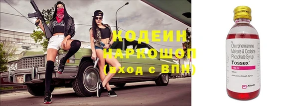 амф Гусь-Хрустальный