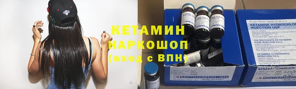 амф Гусь-Хрустальный