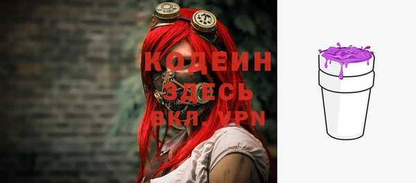 амф Гусь-Хрустальный