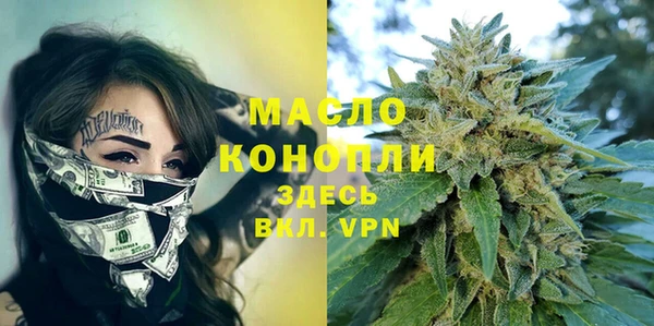 амф Гусь-Хрустальный