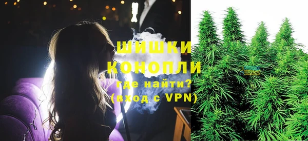 трава Гусев