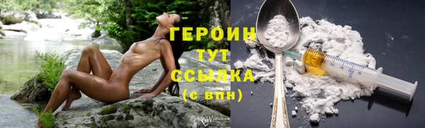 амф Гусь-Хрустальный