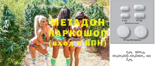 амф Гусь-Хрустальный