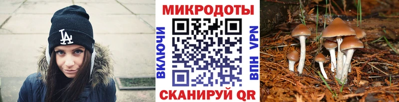 Купить где  Краснодар  Псилоцибиновые грибы MAGIC MUSHROOMS 